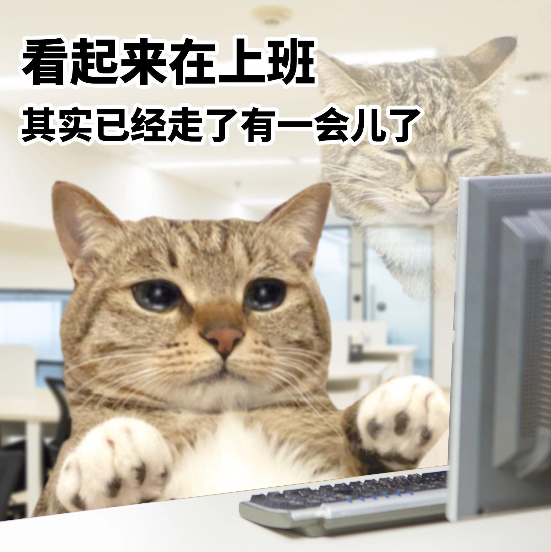 诡秘,你咋还不保养我呢?|剧本图片1