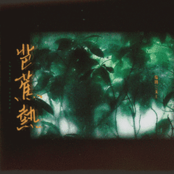 芭蕉热｜剧本封面
