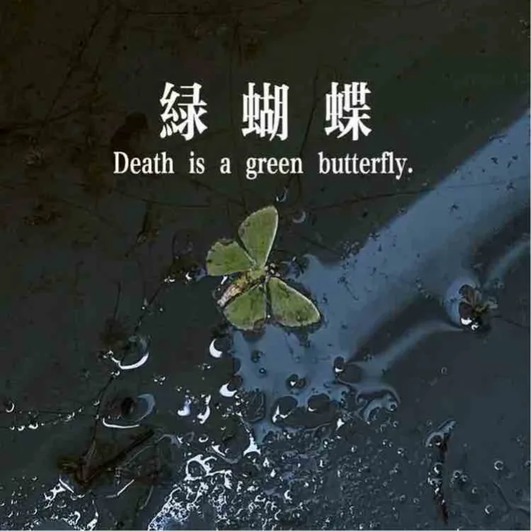 绿蝴蝶|剧本图片1