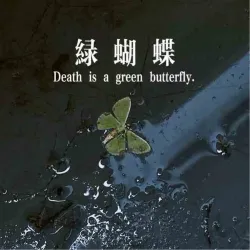 绿蝴蝶｜剧本封面