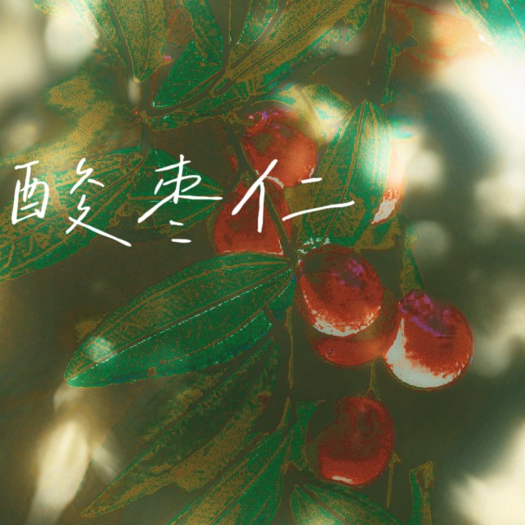 酸枣仁|剧本图片1