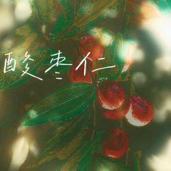 酸枣仁｜剧本封面