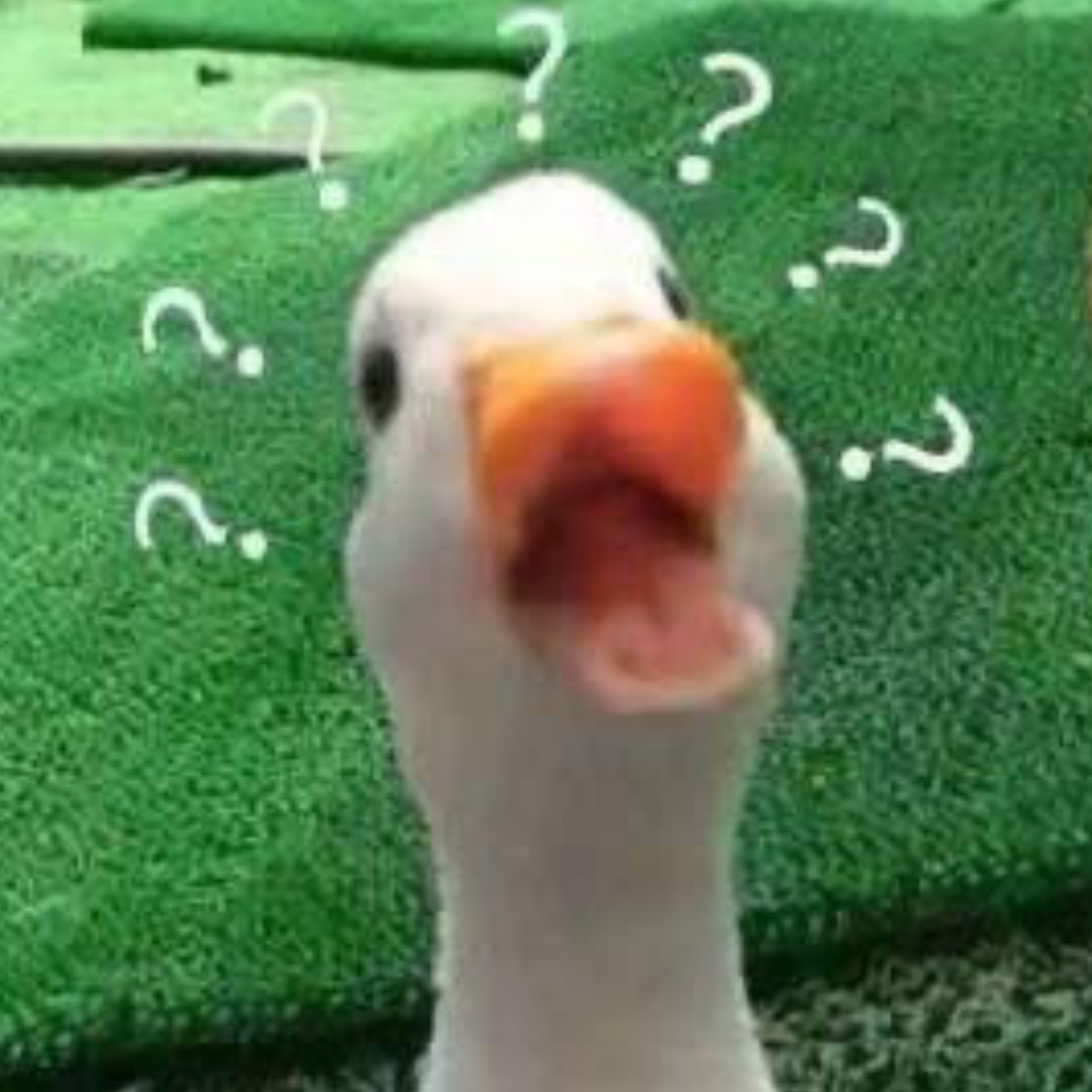 酸枣仁｜程熙角色头像