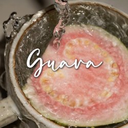 芭乐｜剧本封面