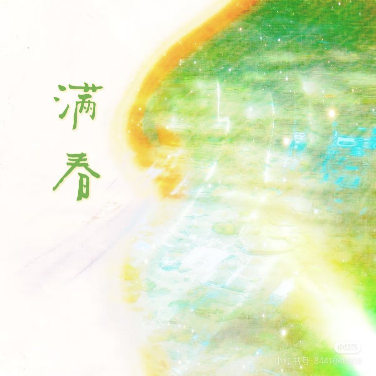 满春｜作品封面