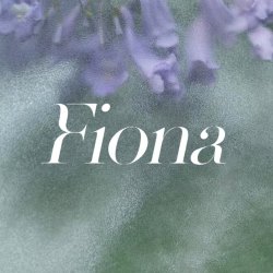 Fiona｜剧本封面