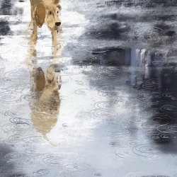 我在房间等你｜剧本封面