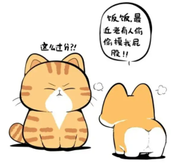 来福与旺财｜剧本封面